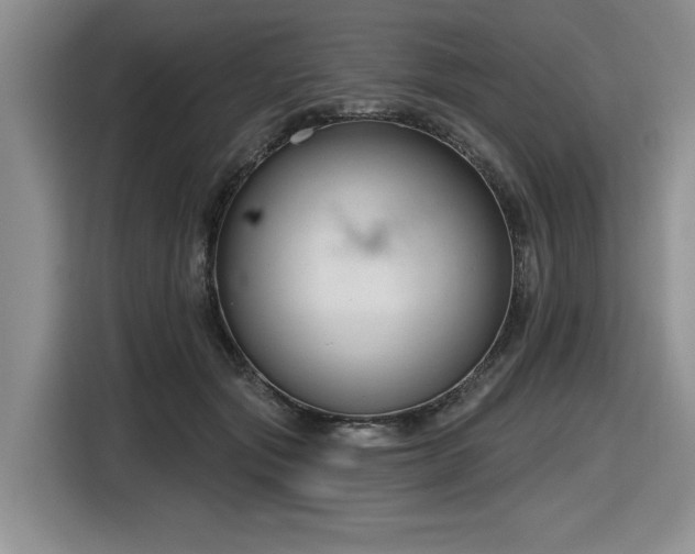 X0000116630557200912111219