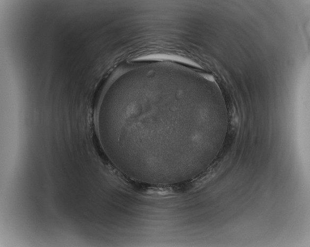 X0000116630559200912111219