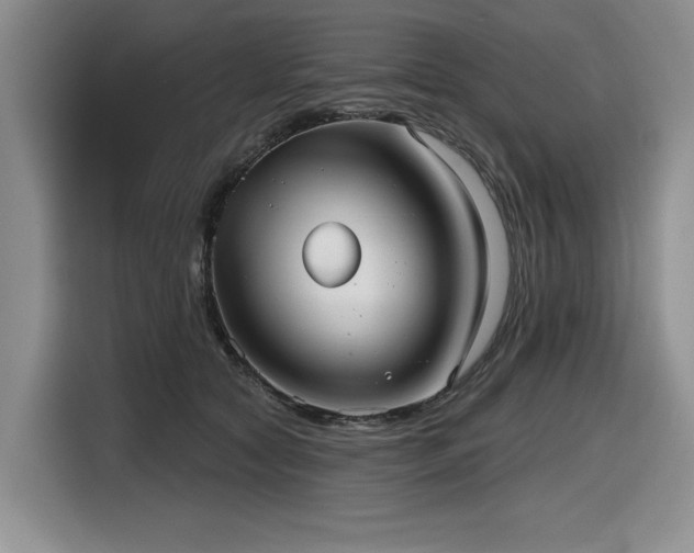 X0000116630561200912111219