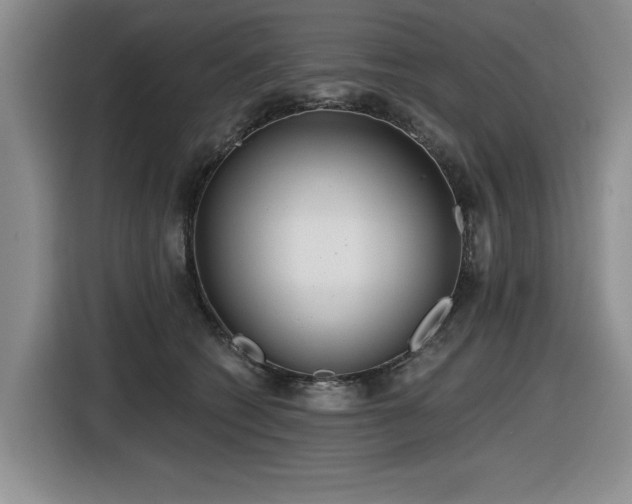 X0000116630562200912111219