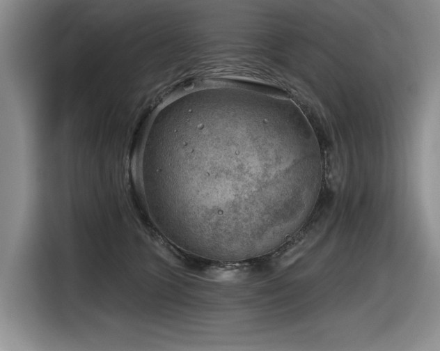 X0000116630563200912111219