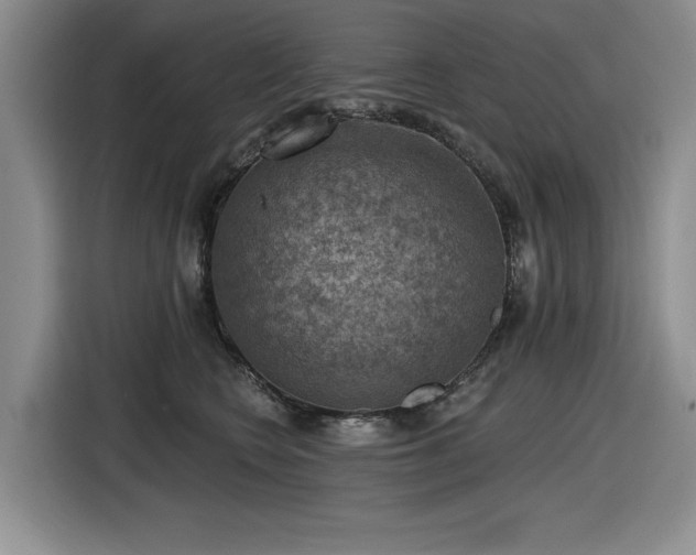 X0000116630566200912111219