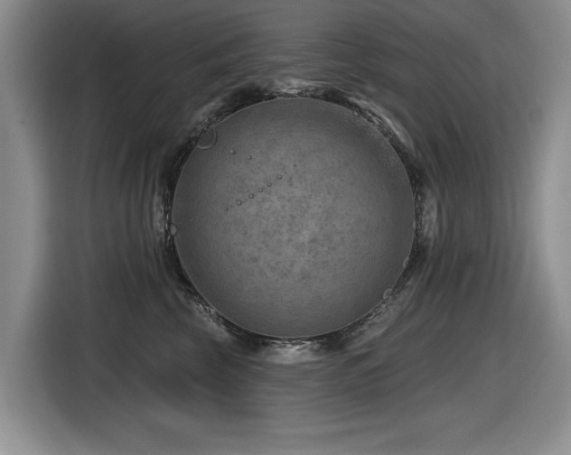 X0000116630569200912111219