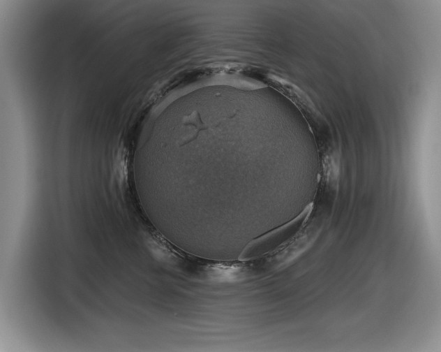 X0000116630570200912111219