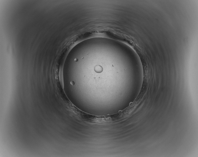 X0000116630571200912111219