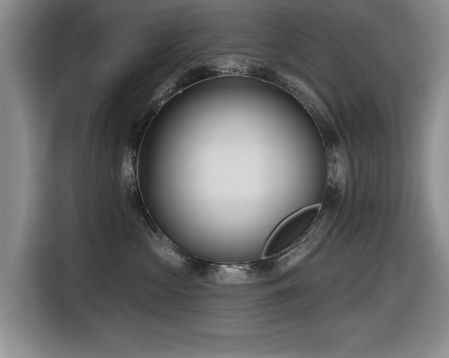 X0000116630573200912111219