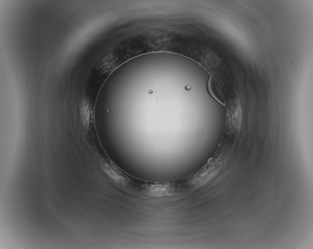 X0000116630574200912111219