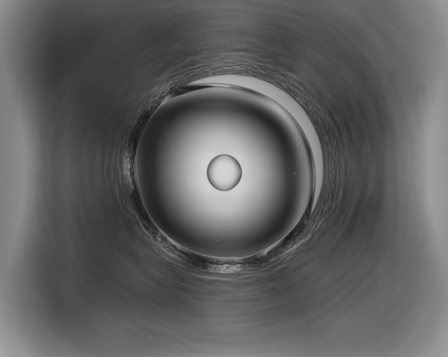 X0000116630575200912111219