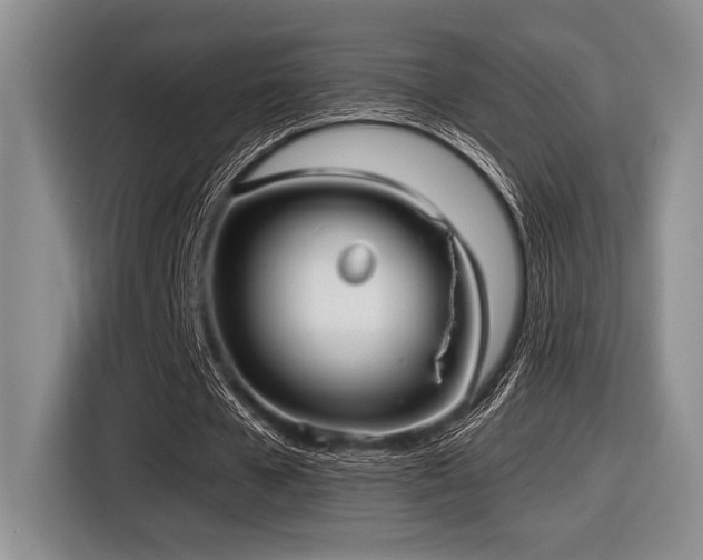 X0000116630577200912111219