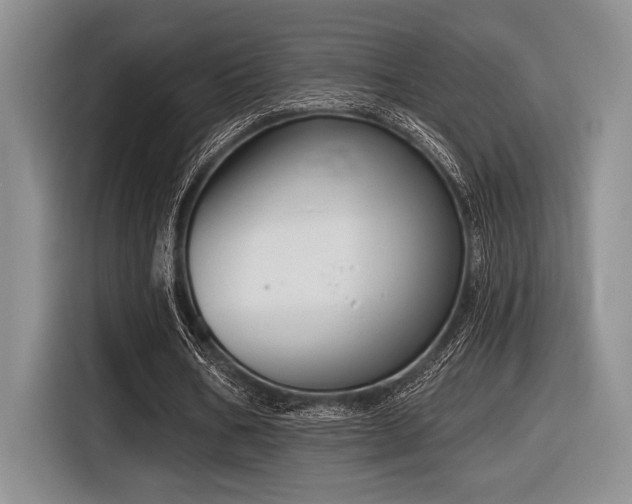 X0000116630578200912111219