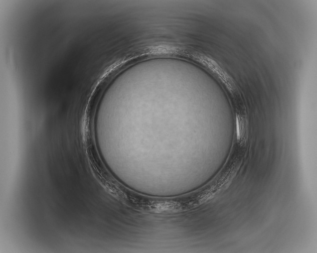 X0000116630579200912111219