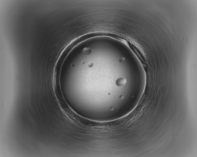 X0000116630580200912111218