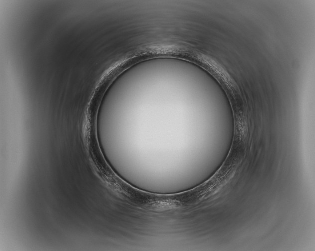 X0000116630583200912111218