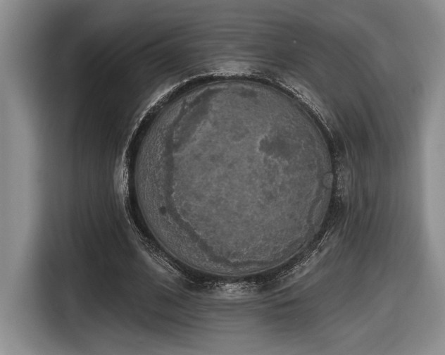 X0000116630584200912111218