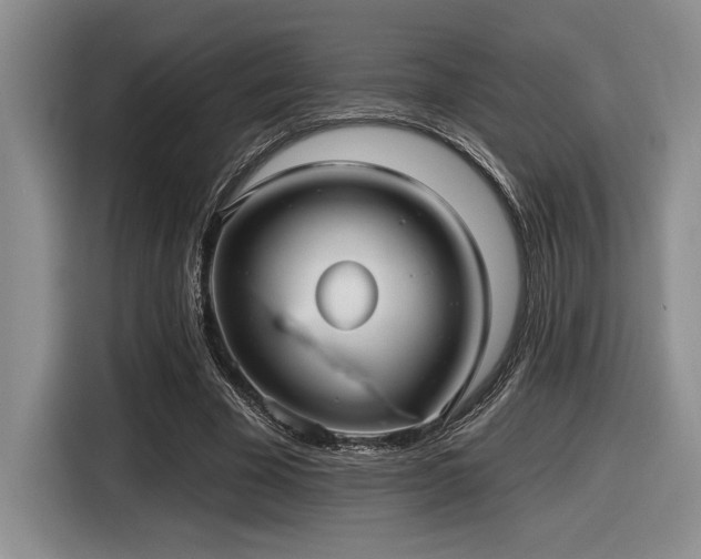 X0000116630585200912111218