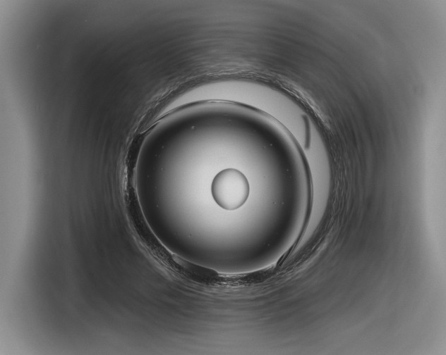 X0000116630589200912111218