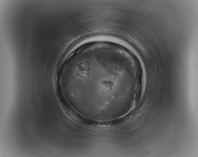 X0000116630592200912111218