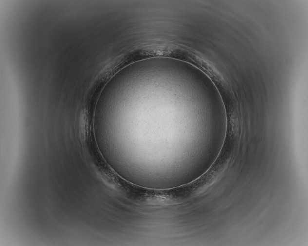 X0000116630594200912111218