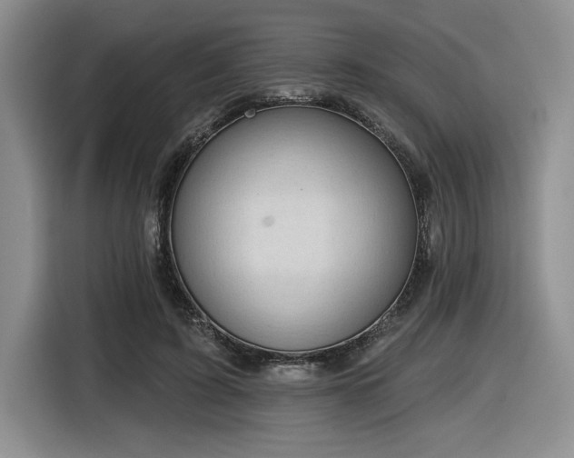 X0000116630595200912111218