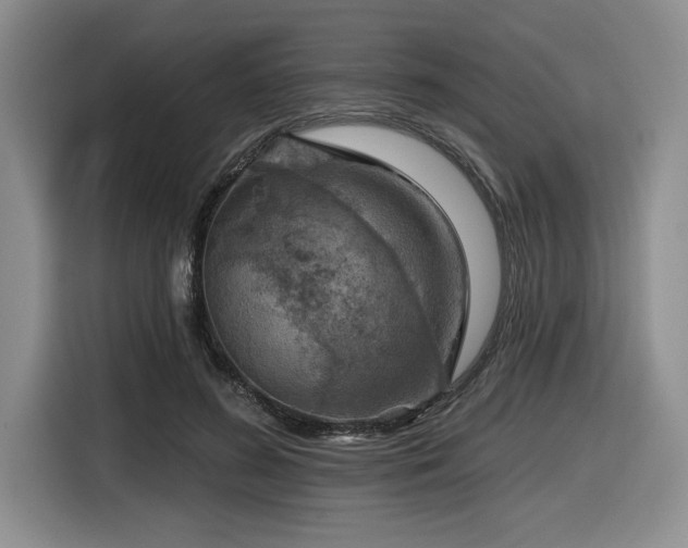 X0000116630596200912111218