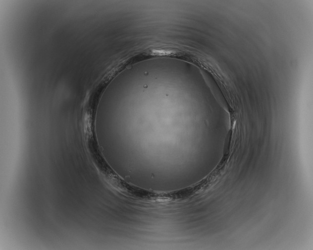 X0000116630598200912111218