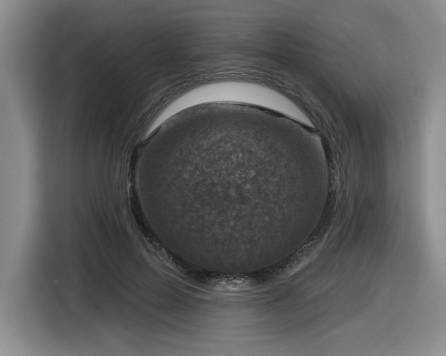 X0000116630599200912111218