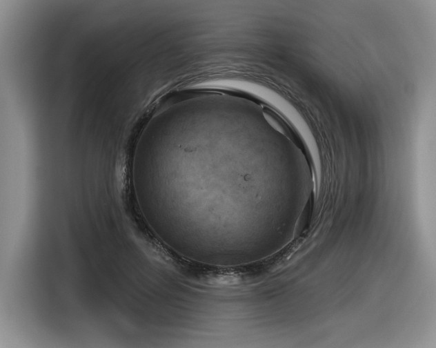 X0000116630600200912111218