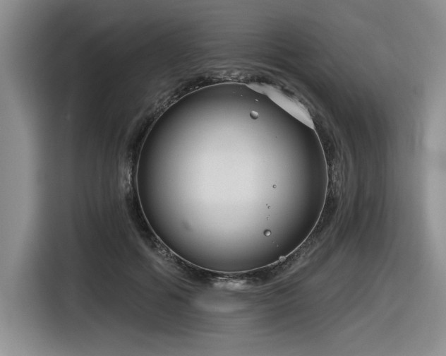 X0000116630602200912111218