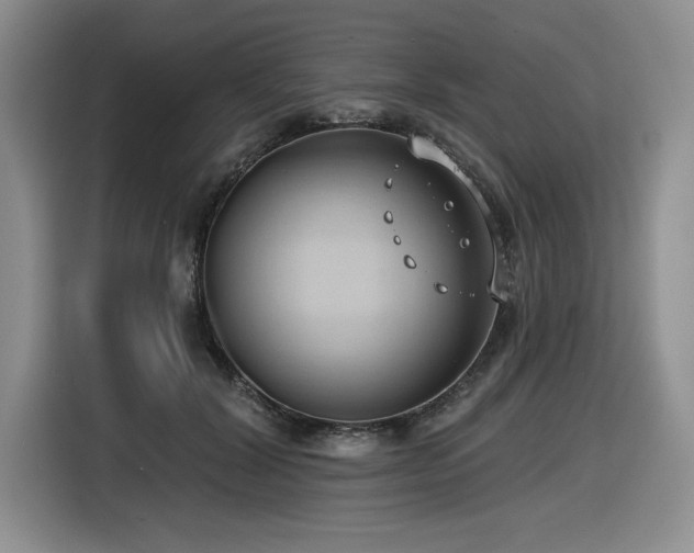 X0000116630604200912111218