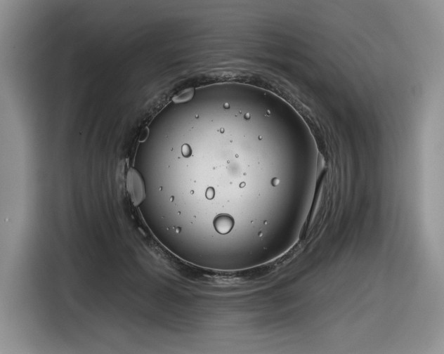 X0000116630605200912111218