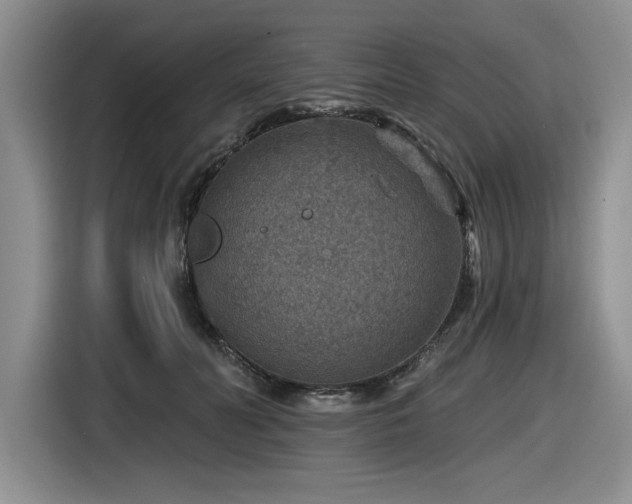 X0000116630606200912111218