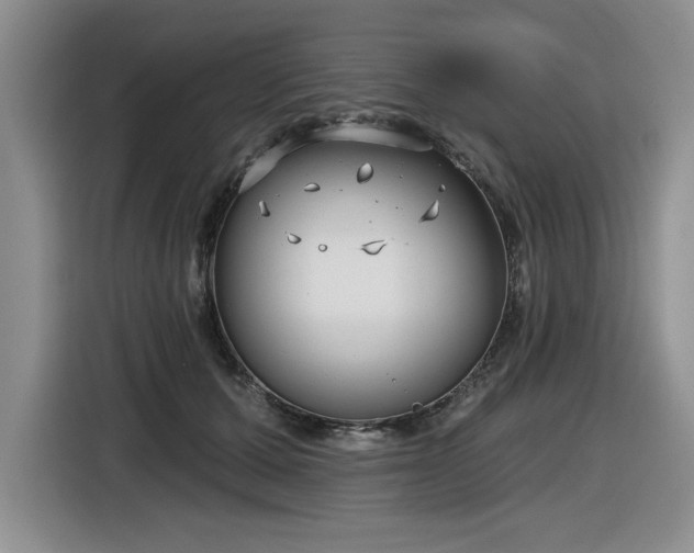 X0000116630607200912111218