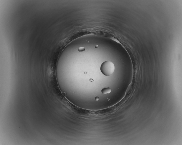 X0000116630608200912111218