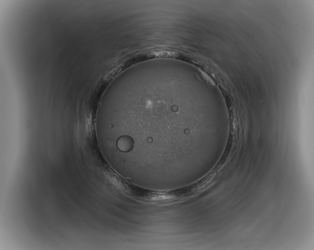 X0000116630610200912111218