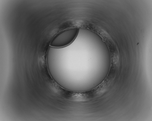 X0000116630611200912111218