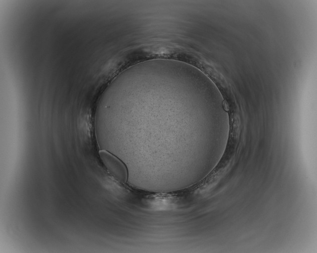 X0000116630612200912111218