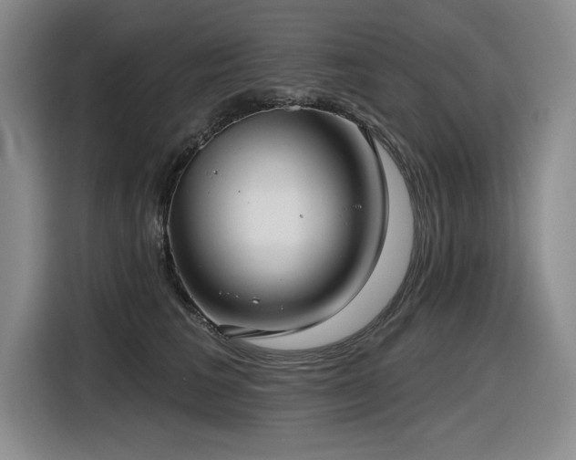 X0000116630613200912111218