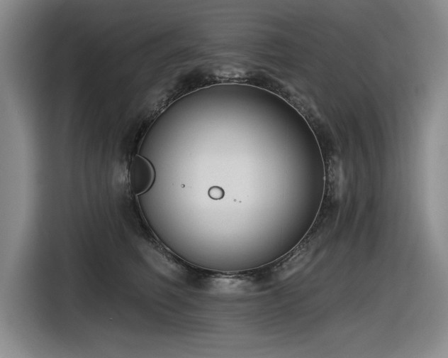 X0000116630614200912111218