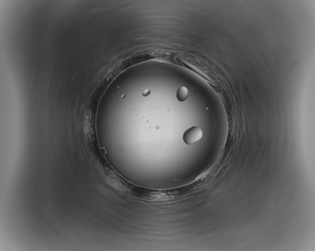 X0000116630616200912111218