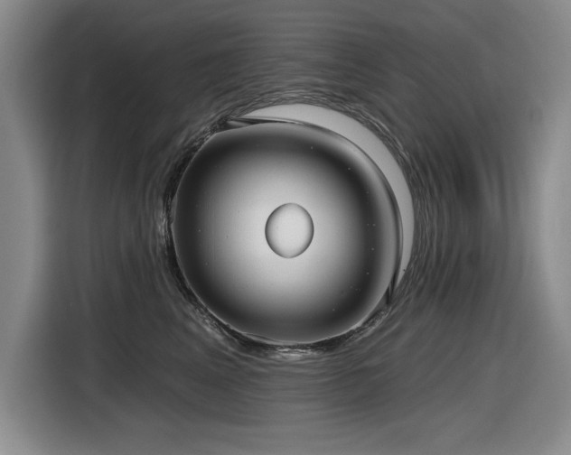 X0000116630617200912111218