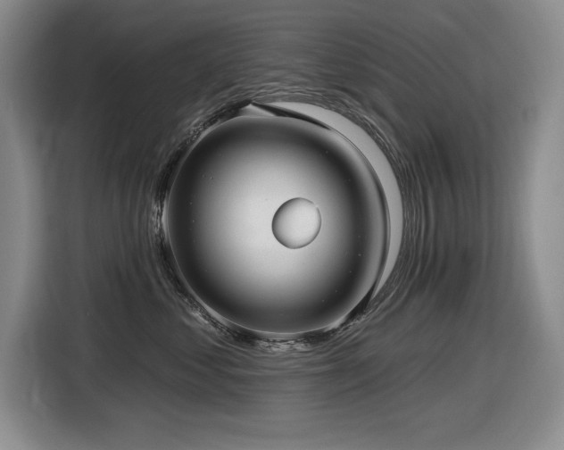 X0000116630621200912111218