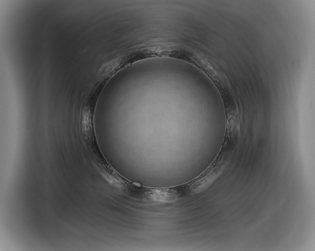 X0000116630623200912111218