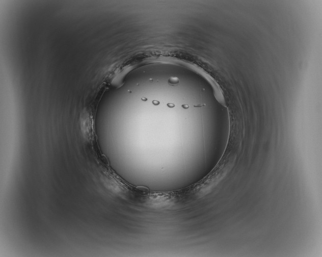 X0000116630624200912111218