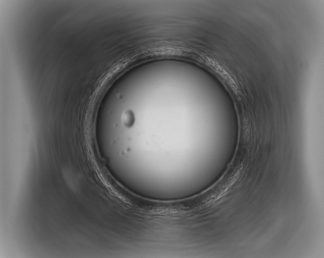 X0000116630625200912111217