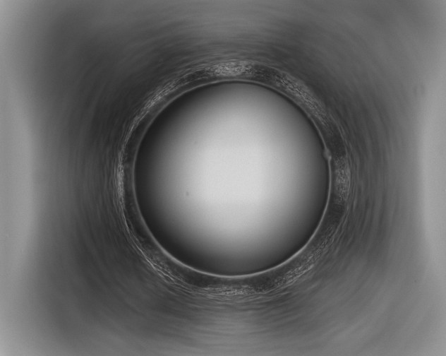 X0000116630626200912111217