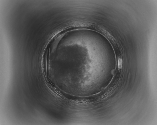 X0000116630627200912111217