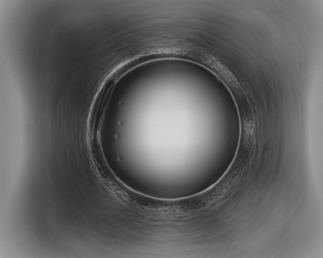 X0000116630628200912111217