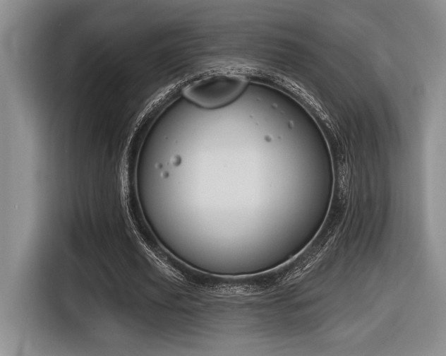 X0000116630629200912111217