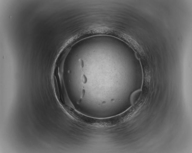 X0000116630630200912111217