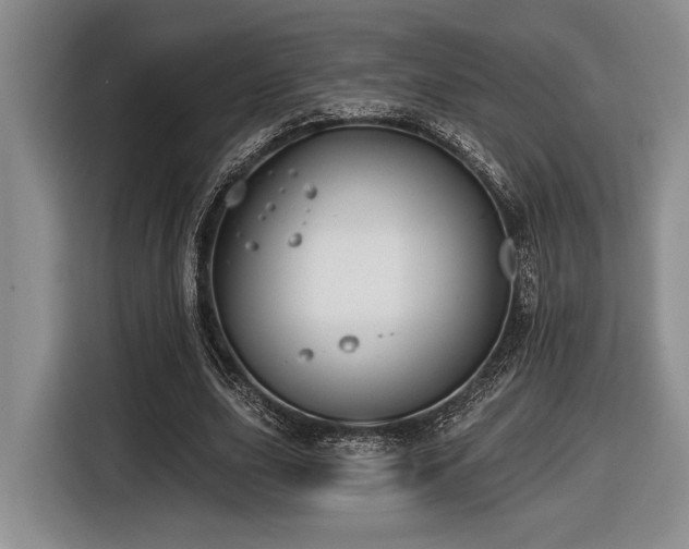 X0000116630631200912111217